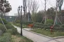 锦丽花语实景图