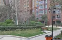 锦丽花语实景图