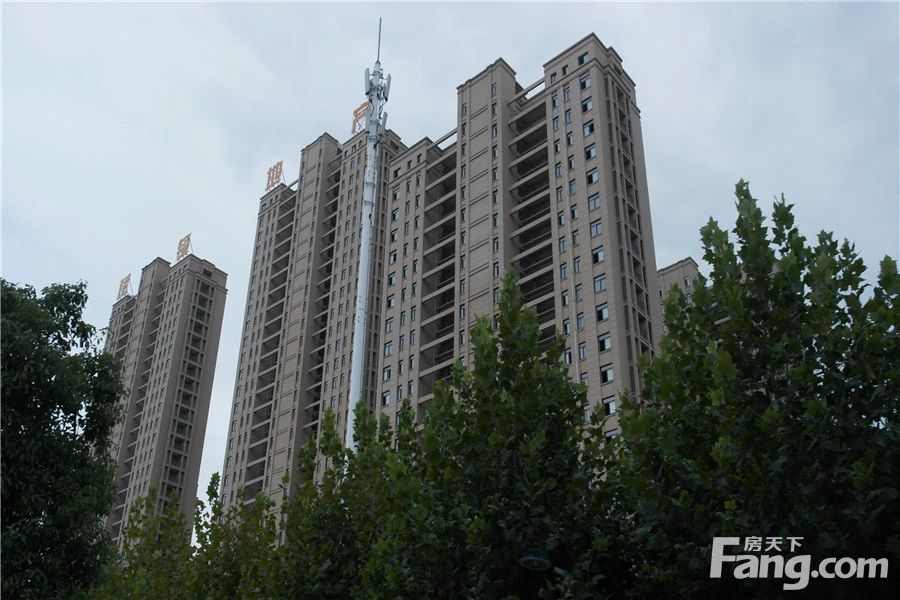 实景图