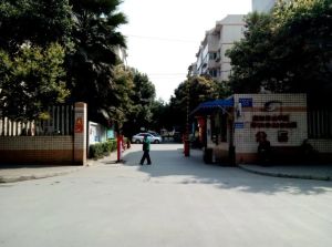 金科苑东街65号 3室2厅 西北