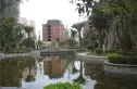 暨阳景江花园实景图