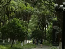 中鹰黑森林11号4室南朝向3970.00万元/套出售