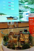 红树林景区中信国安二区精装修一房