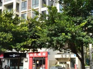 浅水湾(华逸路)3室1厅南