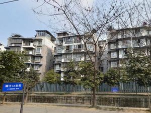 新桥丽景B区2室2厅西南