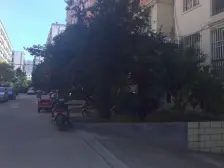 双气,好楼层,满五唯一,没有抵押,诚心出售