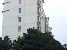 金色嘉园 少有小三房户型 采光很好 出行便利