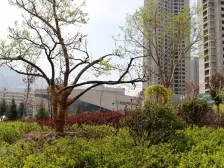 东部 鹏博·金城珑园 两室两厅 毛坯房 看房方便