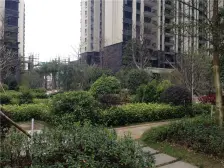 购房即/、户 首付15% 3面采光单边位 东南向静看花园