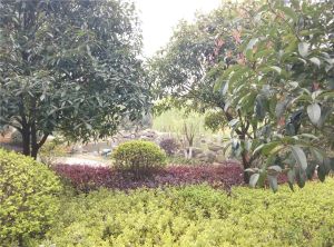 华菱嘉园 4室2厅 南 北