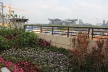 五象新区 光源大都会 精装 三房 看房 方便