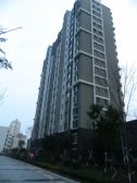 胜利东日向新华精装出税全天采光
