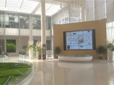 买一得三层,前后小院养花种菜,还有大空间地下室