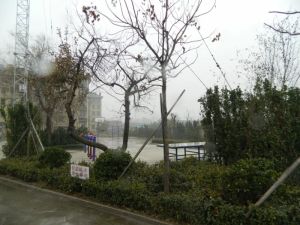白浪河近水岸名居精装三室5楼带阁楼南北通透