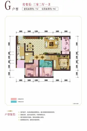 西昌中迪国际户型图
