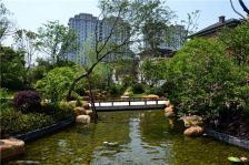 紫琅湖畔中创区美术馆剧院一路之隔随时看