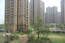 华都·金色兰庭 3室1厅 南