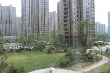 诚心出售 价格可谈 采光无遮挡