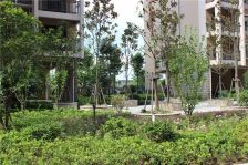 水木清華2室2厅南