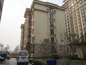 叠拼别墅,一楼带院,地上车库跟储藏室,白浪河西岸