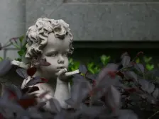 有天有地有花园 美兰湖畔联排别墅 前后花园 看房方便