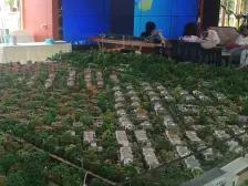 三街区中式联排端户 三面采光 开间大 位置好