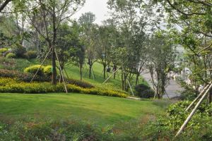 复地金融岛湾流锦宫 2室2厅 东 南