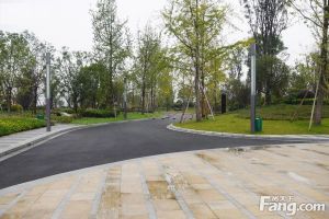 复地金融岛湾流汇 1室1厅 东南