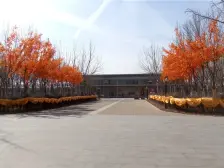 汇秀电梯洋房 户型方正 三室一卫 适合新婚