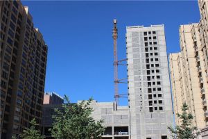 开心果精装修飞机户型楼间距大采光好