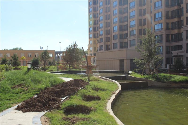 �޻����Ĺ�