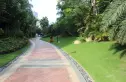 候鸟湾实景图