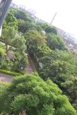 四川路越亚天赐碧园近老街北部湾广场八小海景2房