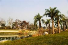 中航城 3室1厅 东南