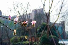 中航城 3室2厅 西南