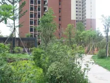 新玥花园 1室1厅 南