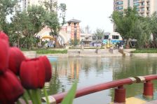 本房满五唯一总价低楼层好全天采光