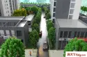 金盛田·锦上实景图