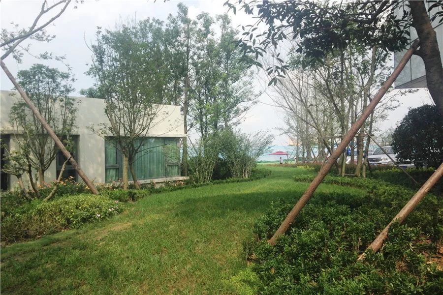 小区相关图