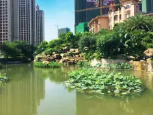 星城翠珑湾三期118平方双阳台的四房 无欠款诚意出售