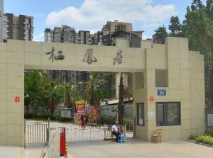 栖凤居3室2厅南北