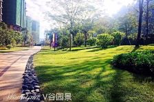 雅居乐富春山居5室2厅东西
