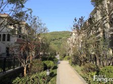 诚意出售 有钥匙 看房方便 位置好