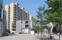 宝峰春天实景图