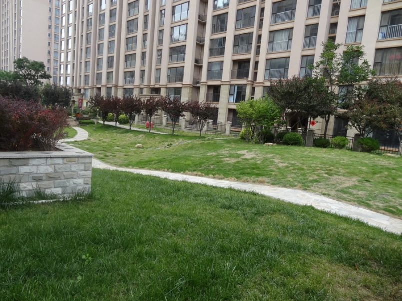 好楼层带精装 近谷德近东明 全天采光,潍坊高新谷德广场麒麟公馆二手