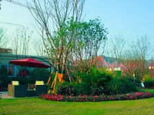 奥园越时代D区 3室2厅 东南