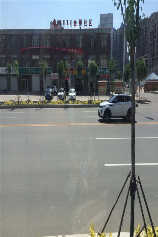 �Ŷ�����,��̩��,��ɭϲ�ù㳡,��ʢ����