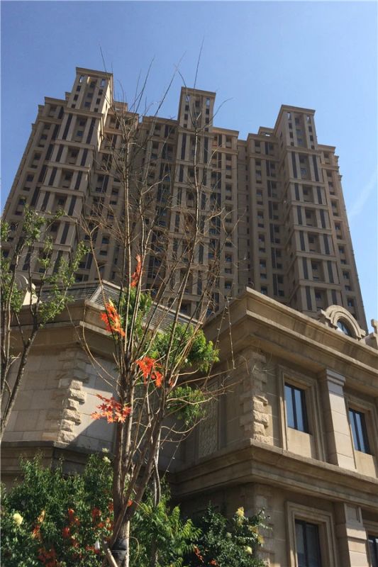 ���������,�޻����ͳǶ��ں�г԰,�к�����,���ͺ��ػ��������㳡