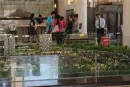 泰禾福州院子活动现场图