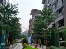 碧桂园荔山雅筑 1室2厅 东南